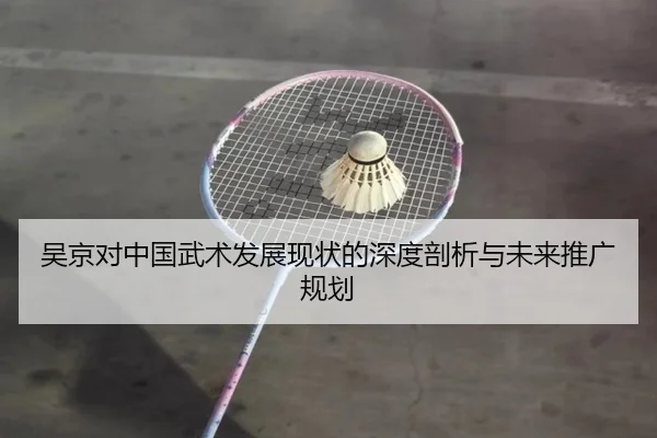 吴京对中国武术发展现状的深度剖析与未来推广规划